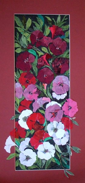 DSCF0820.JPG - Petúnia-zuhatag    60x22
