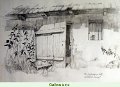 csalanos-tanya