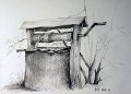 rajz9