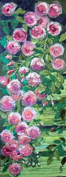 DSCF0228.jpg - Emlék-rózsák 60×22 cm Memory roses
