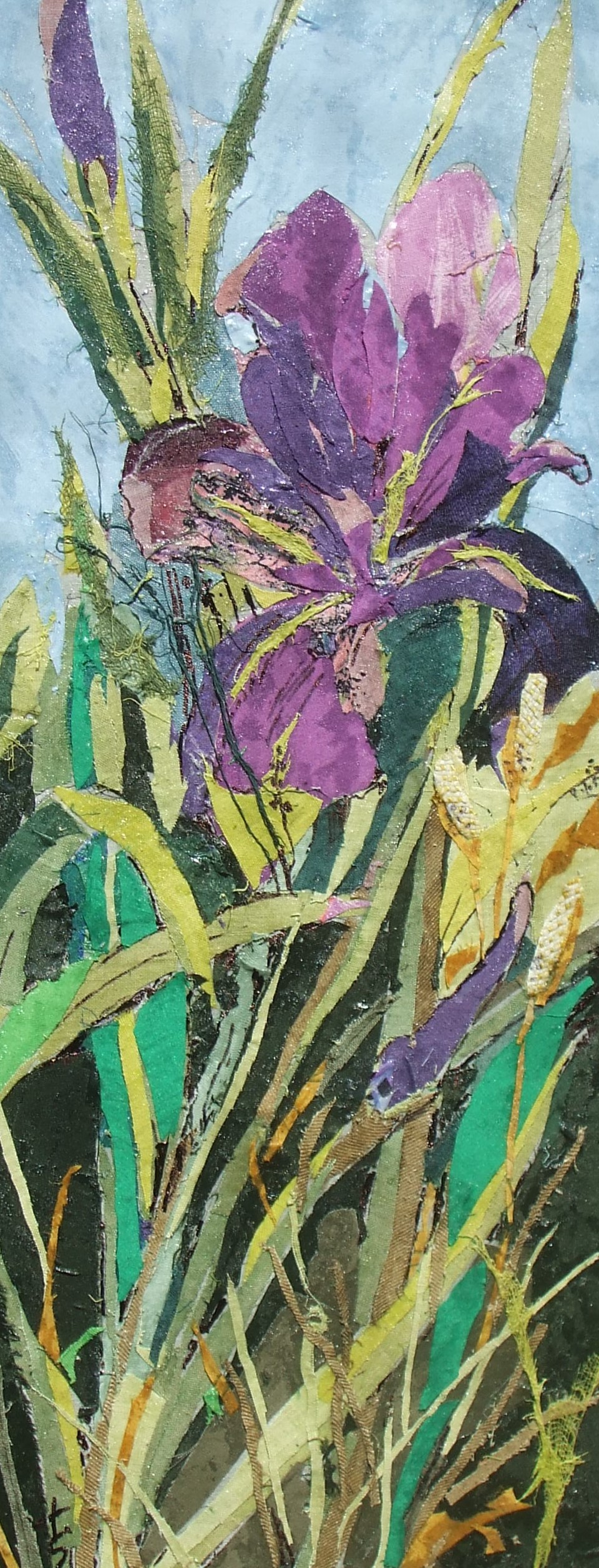 DSCF1384
